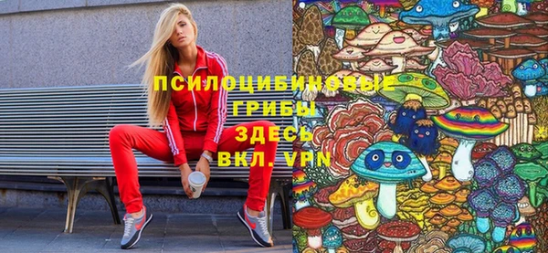 mdpv Баксан